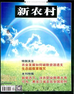 新农村
