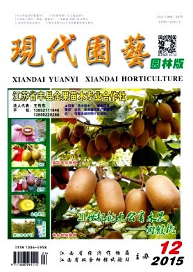 现代园艺