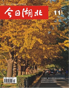 今日湖北