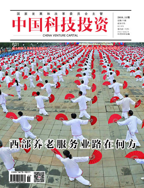 中国科技投资
